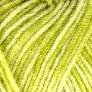 Stylecraft Batik DK 50g