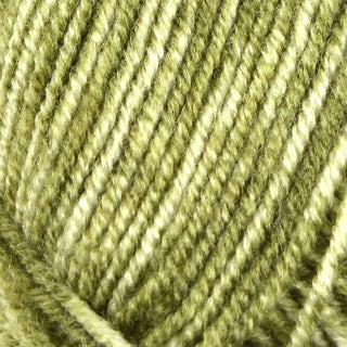 Stylecraft Batik DK 50g