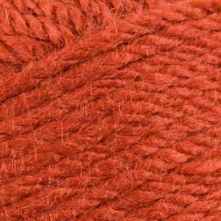 Stylecraft Life Chunky 100g