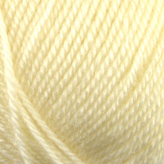 Stylecraft Life DK 100g