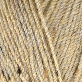 Stylecraft Life DK 100g