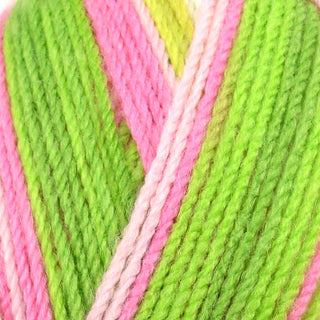 Stylecraft Merry-Go-Round DK 100g