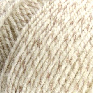 Stylecraft Special Aran 400g