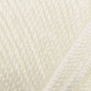 Stylecraft Special Aran 100g