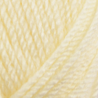 Stylecraft Special Aran 100g