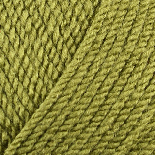 Stylecraft Special Aran 100g