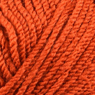 Stylecraft Special Aran 100g