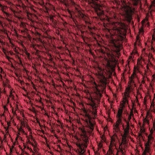 Stylecraft Special Aran 100g