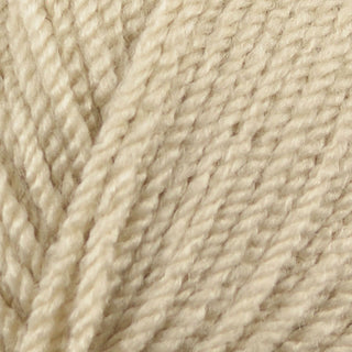 Stylecraft Special Aran 100g