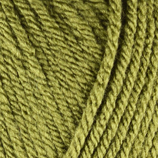 Stylecraft Special Chunky 100g