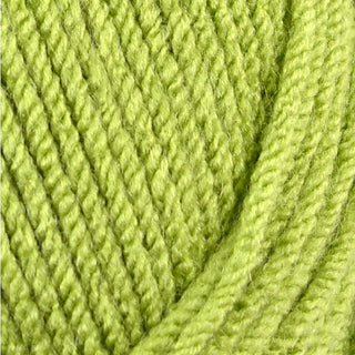 Stylecraft Special Chunky 100g