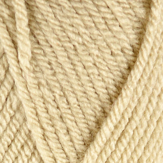 Stylecraft Special Chunky 100g