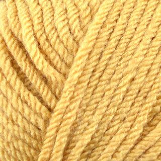 Stylecraft Special Chunky 100g