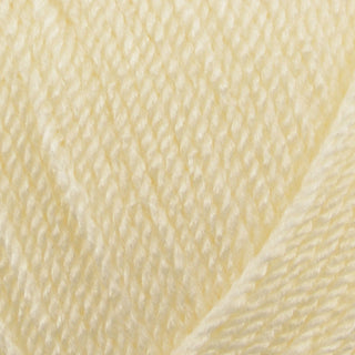 Stylecraft Special DK 100g