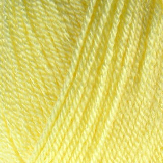 Stylecraft Special DK 100g