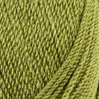 Stylecraft Special DK 100g