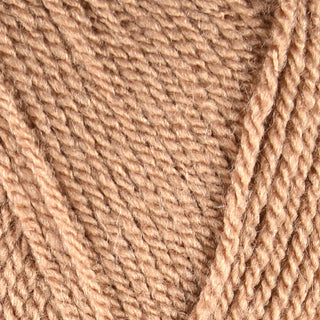 Stylecraft Special DK 100g