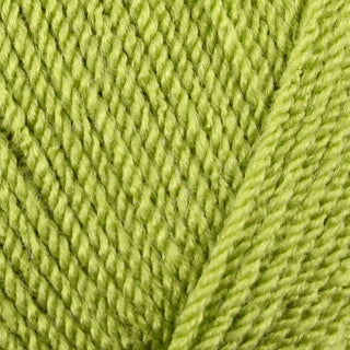 Stylecraft Special DK 100g