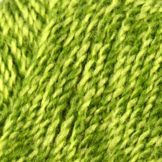 Stylecraft Special DK 100g