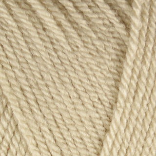 Stylecraft Special DK 100g