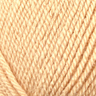 Stylecraft Special DK 100g