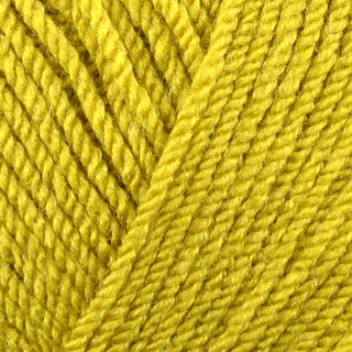 Stylecraft Special DK 100g