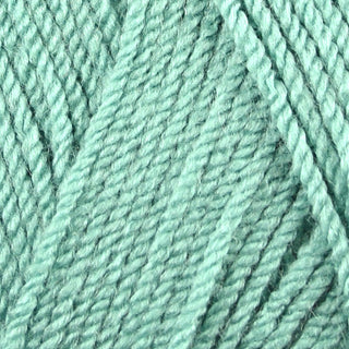 Stylecraft Special DK 100g