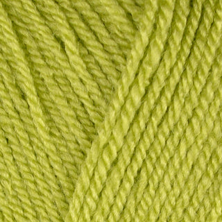 Stylecraft Special DK 100g