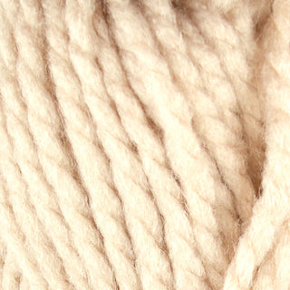 Robin Super Chunky 100g