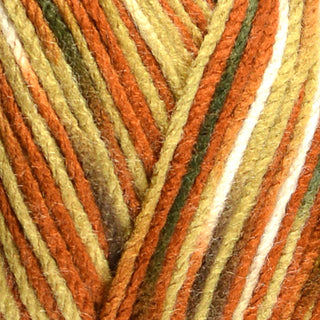 Robin Paintbox DK 100g