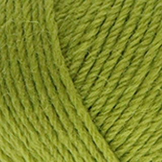 West Yorkshire Spinners Colour Lab DK 100g