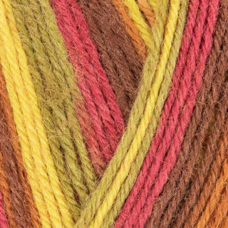 West Yorkshire Spinners Signature 4Ply 100g