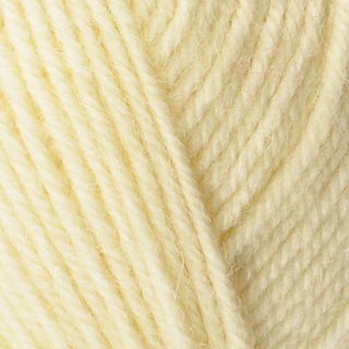 West Yorkshire Spinners Aire Valley Aran 100g
