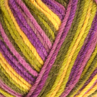 West Yorkshire Spinners Aire Valley Cocktails DK 100g