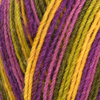 West Yorkshire Spinners Signature 4Ply 100g