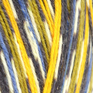 West Yorkshire Spinners Signature 4Ply 100g