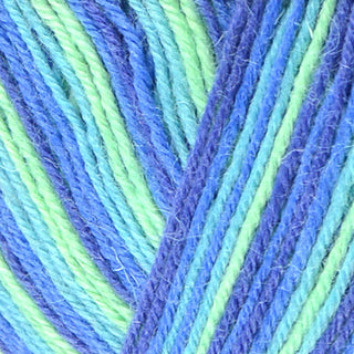 West Yorkshire Spinners Signature 4Ply 100g