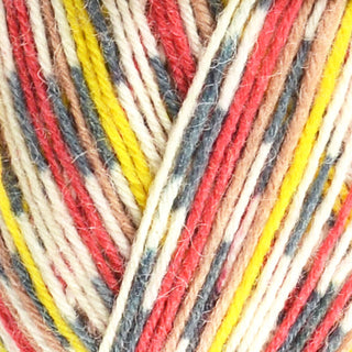 West Yorkshire Spinners Signature 4Ply 100g