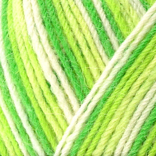 West Yorkshire Spinners Signature 4Ply 100g