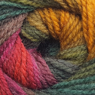 James C Brett Aurora DK 100g