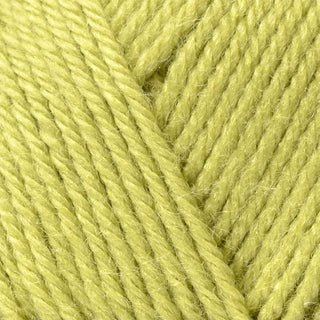 Bergere de France Ideal DK 50g