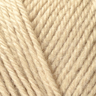 Bergere de France Ideal DK 50g