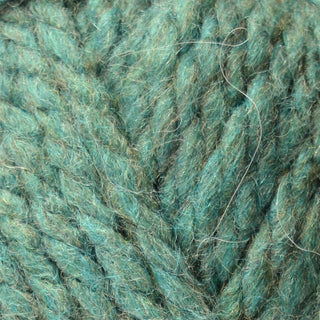 Bergere de France Recyclaine Super Chunky 100g