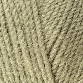 Bergere de France Sport Aran 50g