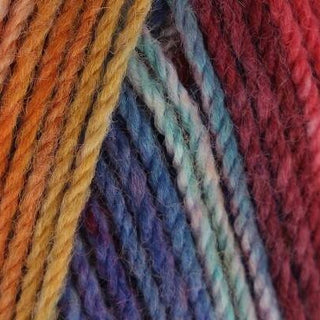 King Cole Bramble DK 100g