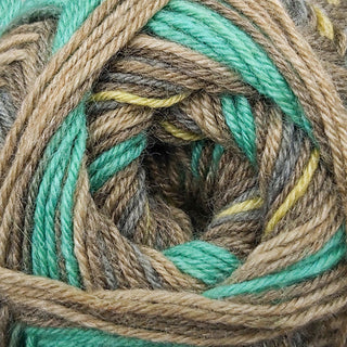 James C Brett Funny Feetz 4Ply 100g