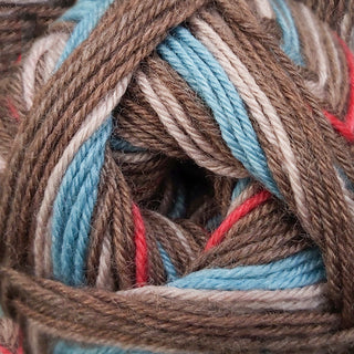 James C Brett Funny Feetz 4Ply 100g
