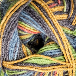 James C Brett Funny Feetz 4Ply 100g