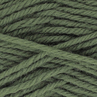 King Cole Wildwood Chunky