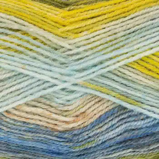 King Cole Bramble DK 100g